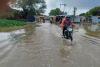 शाहजहांपुर: भारी बारिश से रामगंगा किनारे बाढ़ जैसे हालात...रास्ते पानी में डूबे, फसलों को भी नुकसान