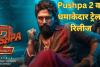 Pushpa 2 Trailer: पुष्पा 2 का धमाकेदार ट्रेलर रिलीज, अल्लू अर्जुन का एक्शन देख कांप जाएगी रूह