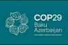 COP29: भारत ने 300 अरब अमेरिकी डॉलर के नए जलवायु वित्त समझौते को किया खारिज 