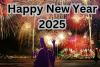 New Year 2025: नए साल के जश्न से पहले पढ़ लें ये एडवाइजरी, हुड़दंगियों पर रहेगी नजर...दिल्ली-NCR में प्रशासन मुस्तैद