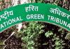 NGT ने 2024 में पर्यावरण संबंधी चिंताओं पर रखी कड़ी नजर, जारी किए कई आदेश