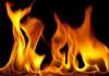 टनकपुर: शरारती तत्वों ने मायावती आश्रम के जंगल में लगाई आग