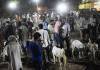 बरेली: बकरीद आज, मस्जिदों में नमाज की तैयारियां पूरी...गुलजार रहे बकरों के बाजार