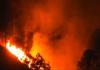 नैनीताल: मंगोली धापला के जंगल में धधक उठी आग, काबू पाने का प्रयास जारी