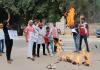 प्रयागराज: पेपर लीक पर भड़के सपा छात्रसभा कार्यकर्ताओं ने जलाया विधायक बेदीराम का पुतला