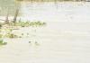 मुरादाबाद : 193 गांवों में मंडराया बाढ़ का खतरा, 35 बाढ़ चौकियां बनी
