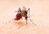 मुरादाबाद : रतनपुर कलां गांव में मिला मलेरिया का पहला रोगी, टीएमयू में चल रहा इलाज