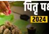 Pitru Paksha 2024: पितृपक्ष में संतान पूर्वजों को याद कर श्राद्ध, तर्पण कर संतुष्ट करता...बरसती है कृपा, संतान का अंश पितरों तक