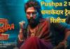 Pushpa 2 Trailer: पुष्पा 2 का धमाकेदार ट्रेलर रिलीज, अल्लू अर्जुन का एक्शन देख कांप जाएगी रूह