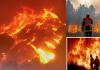 Los Angeles Wildfires : अमेरिका के जंगल की आग में अब तक 26 लोगों की मौत, आग पर काबू पाने की कवायद तेज 