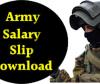 The Indian Army's Powerful Pay Slip: Uncovering the Advantages