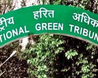 NGT ने 2024 में पर्यावरण संबंधी चिंताओं पर रखी कड़ी नजर, जारी किए कई आदेश