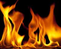 टनकपुर: शरारती तत्वों ने मायावती आश्रम के जंगल में लगाई आग