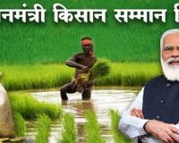 रुद्रपुर: 72 हजार किसानों के खातों में पहुंचेगी पीएम किसान सम्मान निधि की 17वीं किस्त