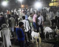 बरेली: बकरीद आज, मस्जिदों में नमाज की तैयारियां पूरी...गुलजार रहे बकरों के बाजार