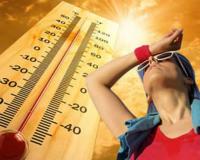 बरेली: जून में रिकॉर्ड तोड़ रही गर्मी, पारा 44.5 डिग्री पहुंचा...गर्मी से बेहाल हो रहे लोग