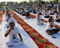International Yoga Day 2024: करे योग, रहे निरोग, औरैया में कलक्ट्रेट के तिरंगा मैदान सहित जगह जगह किया गया योगाभ्यास