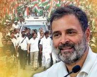 रायबरेली :  कांग्रेस के गढ़ को शान से बरकरार रखने में सफल हुये राहुल