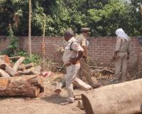 Unnao News: वन विभाग की टीम ने धर्मकांटा से पकड़ी एक ट्रक प्रतिबंधित लकड़ी...पुलिस ने FIR दर्ज कर जांच शुरू की 