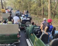 पीलीभीत: PTR में पर्यटक अब 10 दिन और कर सकेंगे जंगल की सैर, 15 नहीं 25 जून को बंद होगा पर्यटन सत्र