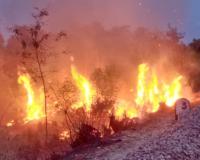 Kanpur News: रेलवे लाइन के किनारे झाड़ियों में लगी आग, फैली सनसनी, क्षेत्रीय लोगों ने पाया आग पर काबू