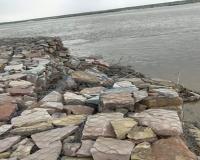 कुशीनगर: अमवा तटबंध का ठोकर नंबर 4 धंसा, बांध पर मडराया संकट 