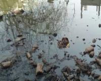 लखनऊ: प्रॉपर्टी डीलरों ने बेच दी नाले की जमीन, सड़कों पर हो रहा जलभराव