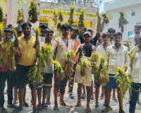बरेली: बिजली कटौती से सूखी धान की पौध, किसानों और बिजली कर्मी में हाथापाई