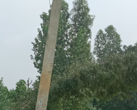 बरेली: 33 केवी की लाइन पर गिरे पेड़, मढ़ीनाथ इलाके की बिजली गुल