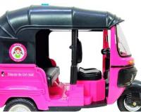 अयोध्या: रामनगरी में अब पिंक ई-रिक्शा चलाएंगी महिलाएं, ये लोग कर सकेंगे सवारी
