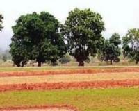 Kanpur: जमीन का दाखिल-खारिज कराना होगा आसान, रियल टाइम खतौनी ऑनलाइन दर्ज करने का काम लगभग पूरा