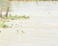 मुरादाबाद : 193 गांवों में मंडराया बाढ़ का खतरा, 35 बाढ़ चौकियां बनी
