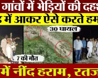 Bahraich News : UP में Tiger तो कहीं भेड़िया। 30 गांव में भेड़ियों की दहशत। हमलों के बीच रातें हराम