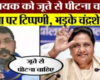 BSP सुप्रीमो Mayawati पर BJP विधायक की टिप्पणी को लेकर भड़के Chandrashekhar Azad, MLA को दी Warning