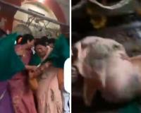 VIDEO: बाल-बाल बचीं Etawah सदर विधायक सरिता भदौरिया, वंदे भारत को हरी झंडी दिखाते समय ट्रेन के आगे गिरीं