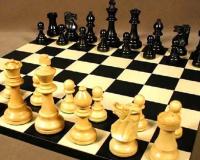 Chess Olympiad : भारतीय पुरुष टीम का दबदबा जारी, महिलाओं को मिली पहली हार 