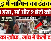 Hapur News | हापुड़ में सांप का आतंक, 5 को डंसा, मां-बेटों समेत 3 की मौत, लोग बोले- नागिन बदला ले रही