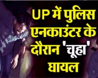 मेरठ पुलिस से मुठभेड़ में घायल हुआ 'चूहा', पैर में लगी गोली...25 हजार का था इनाम