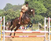 घुड़सवारी प्रतियोगिता: मुरादाबाद के घोड़ों व घुड़सवारों का रहा दबदबा