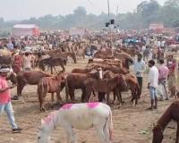 Chitrakoot: औरंगजेब के जमाने से लगता है गधों का मेला...आधुनिकता की भेंट चढ़ रहा मेले का अस्तित्व 