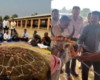 प्रदेश की गोशालाओं में धूमधाम से हुई गोवर्धन पूजा, कैबिनेट मंत्री  ने गायों को खिलाया गुड़ और हरा चारा