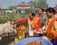 मुरादाबाद : कान्हा गोशाला को मिला राज्य का पहला ISO प्रमाण पत्र, महापौर-अपर नगर आयुक्त ने गोवंश की पूजा कर खिलाया गुड़-चना