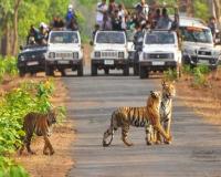 अच्छी खबरः कोटाबाग से जंगल सफारी शुरू पर्यटन को मिलेगा बढ़ावा 