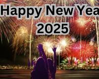 New Year 2025: नए साल के जश्न से पहले पढ़ लें ये एडवाइजरी, हुड़दंगियों पर रहेगी नजर...दिल्ली-NCR में प्रशासन मुस्तैद