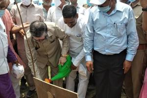 बरेली: केंद्रीय मंत्री समेत सांसद-विधायक ने किया पौधरोपण, वन महोत्सव के तहत एक दिन में लगाए जाएंगे 1.26 लाख पौधे