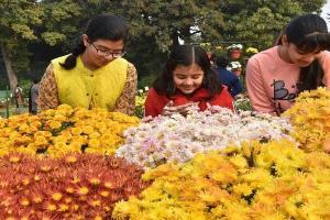 राजधानी में इस साल भी कोरोना के चलते NBRI और CSIR नहीं लगाएगा पुष्प प्रदर्शनी