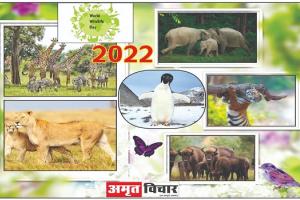 World Wildlife Day 2022: लुप्तप्राय वनस्पतियों और जीवों की प्रजातियों के संरक्षण के लिए मनाया जाता है विश्व वन्यजीव दिवस