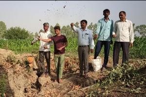 मुरादाबाद: पानी एवं पर्यावरण बचाव दल ने बंजर जमीन पर फेंके शीड बम