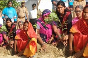 हरदोई जिला कारागार में हुआ पौधारोपण, कैदियों को पर्यावरण के प्रति किया गया जागरूक