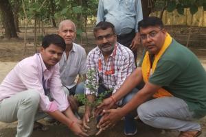 गोरखपुर: वृक्षगंगा अभियान के तहत गायत्री परिवार ने किया पौधरोपण